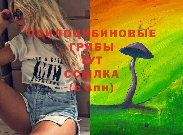 mdpv Арсеньев
