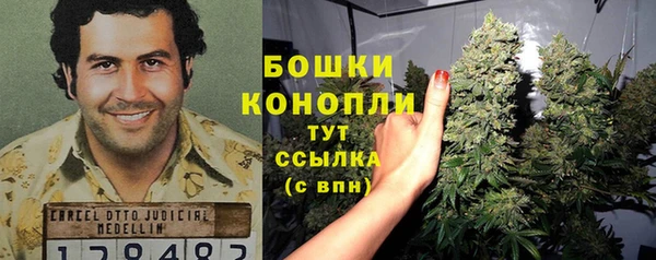 крисы Аркадак
