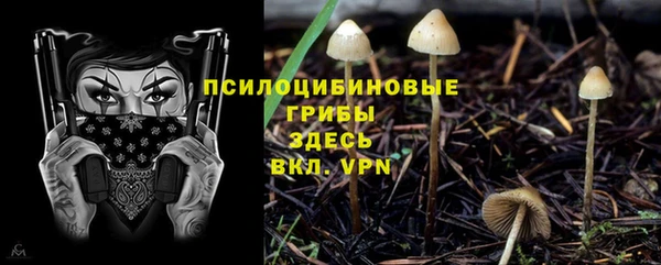 гидра Балабаново
